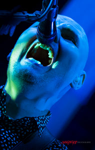 Billy Corgan of Smashing Pumpkins. ©2015 Steve Ziegelmeyer