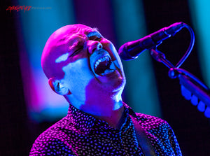 Billy Corgan of Smashing Pumpkins. ©2015 Steve Ziegelmeyer