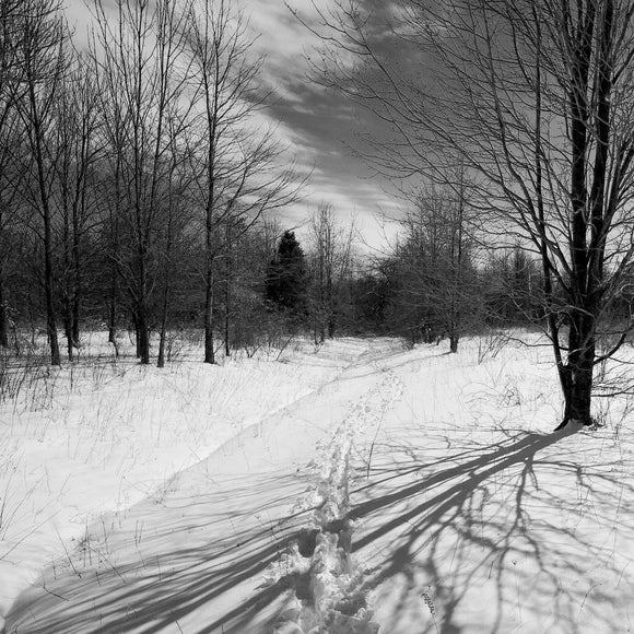 Footprints in snowy field. ©2008 Steve Ziegelmeyer
