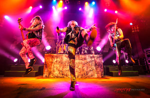 Steel Panther. ©2014 Steve Ziegelmeyer