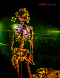 Stolen Babies skeleton. ©2014 Steve Ziegelmeyer