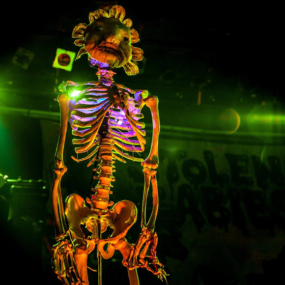 Stolen Babies skeleton. ©2014 Steve Ziegelmeyer