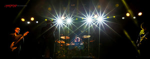 Stone Temple Pilots with Chester Bennington. ©2014 Steve Ziegelmeyer