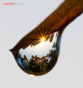 Sunrise in a water drop. ©2014 Steve Ziegelmeyer