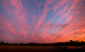 Sunset clouds. ©2018 Steve Ziegelmeyer