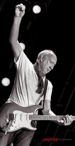 Pete Townshend of The Who. ©2022 Steve Ziegelmeyer
