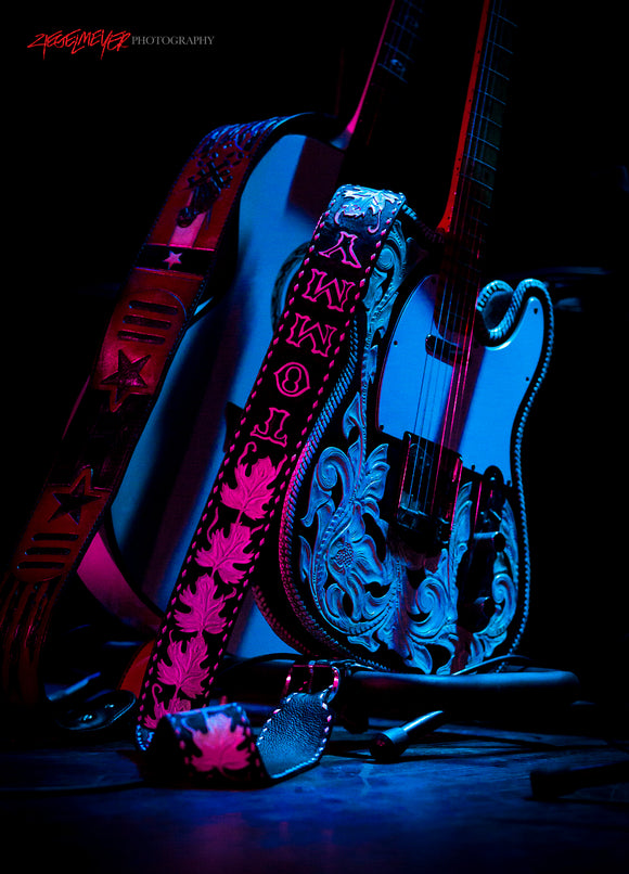 Tommy Townsend's guitar. Waymore's Outlaws. ©2015 Steve Ziegelmeyer