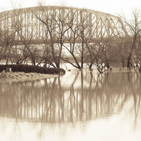Flooded park. Yeatman's Cove, Cincinnati, Ohio.©2015 Steve Ziegelmeyer