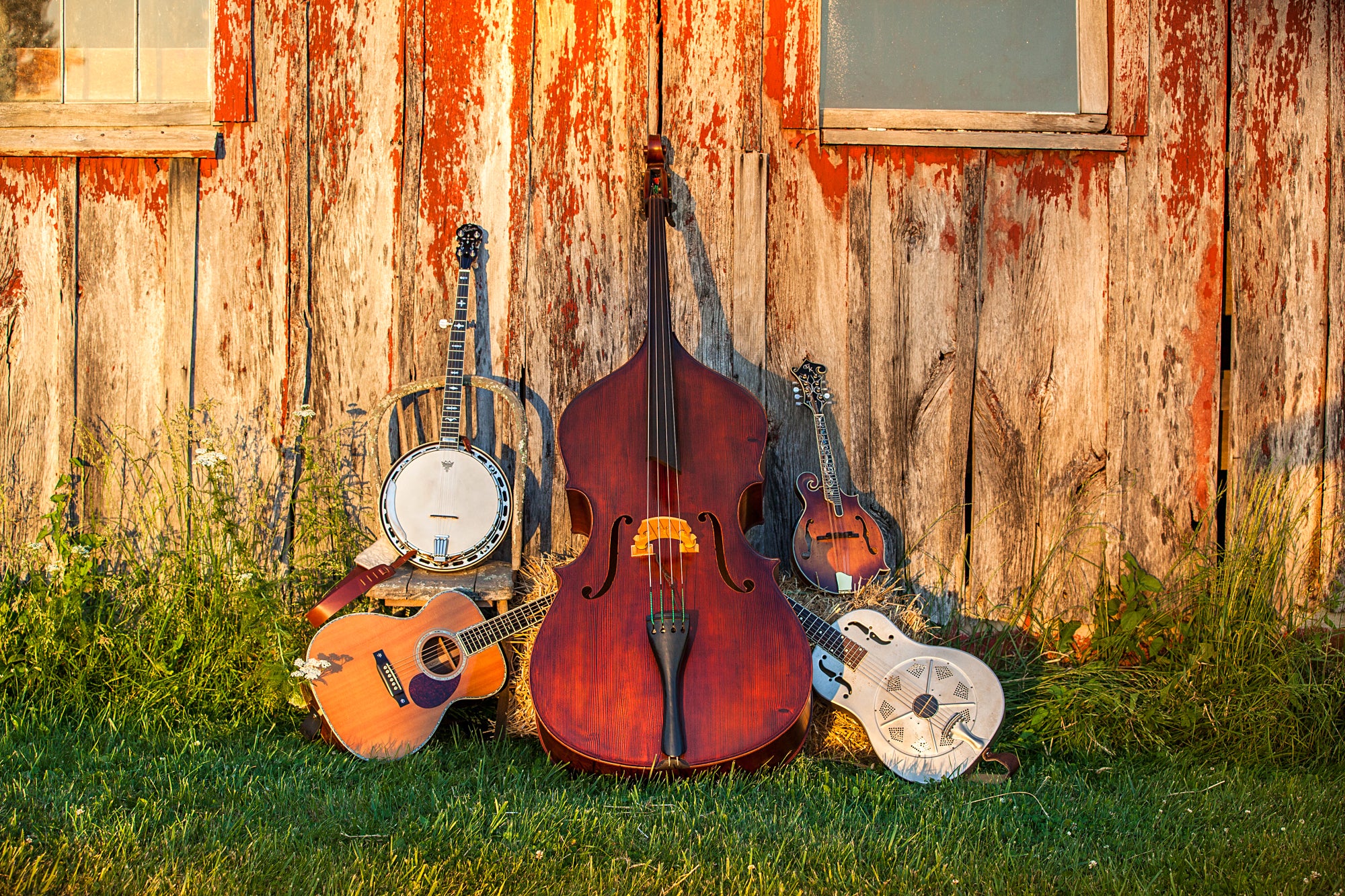 Bluegrass instruments top